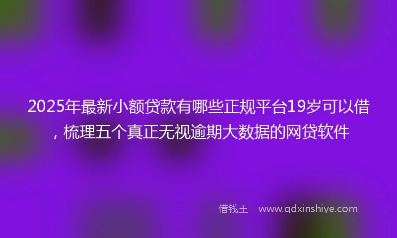 2025年最新小额贷款有哪些正规平台19岁可以借，梳理五个真正无视逾期大数据的网贷软件