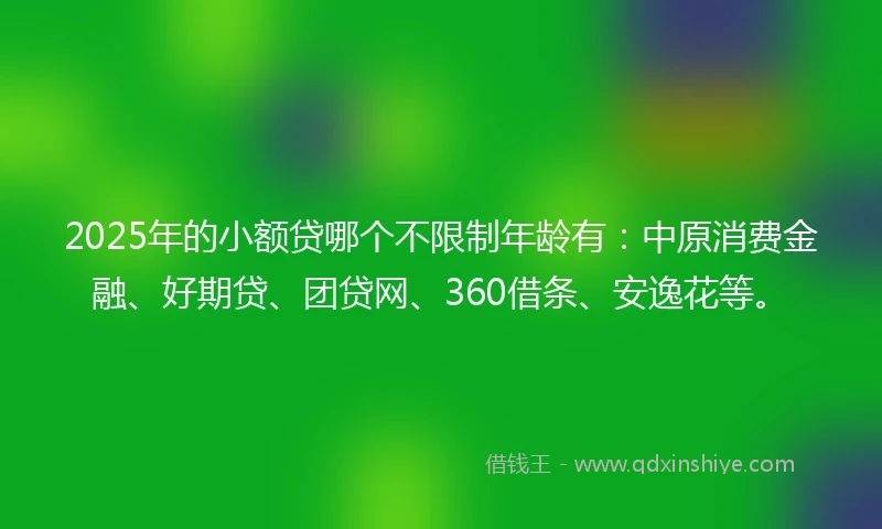 2025年的小额贷哪个不限制年龄有：中原消费金融、好期贷、团贷网、360借条、安逸花等。