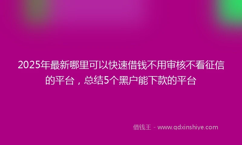 2025年最新哪里可以快速借钱不用审核不看征信的平台，总结5个黑户能下款的平台