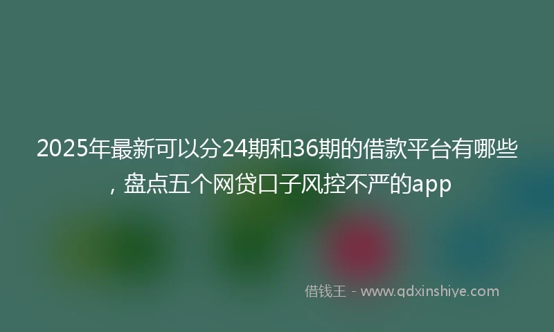 2025年最新可以分24期和36期的借款平台有哪些，盘点五个网贷口子风控不严的app