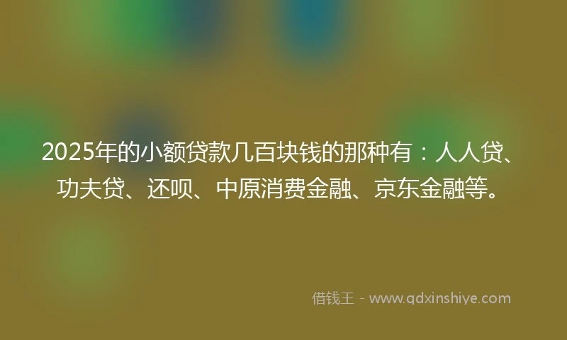 2025年的小额贷款几百块钱的那种有：人人贷、功夫贷、还呗、中原消费金融、京东金融等。