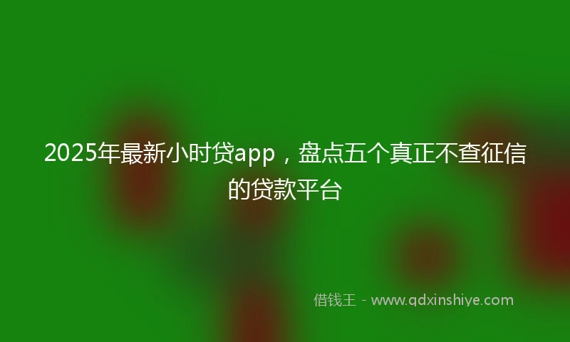 2025年最新小时贷app，盘点五个真正不查征信的贷款平台