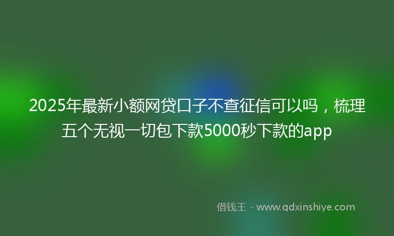 2025年最新小额网贷口子不查征信可以吗，梳理五个无视一切包下款5000秒下款的app