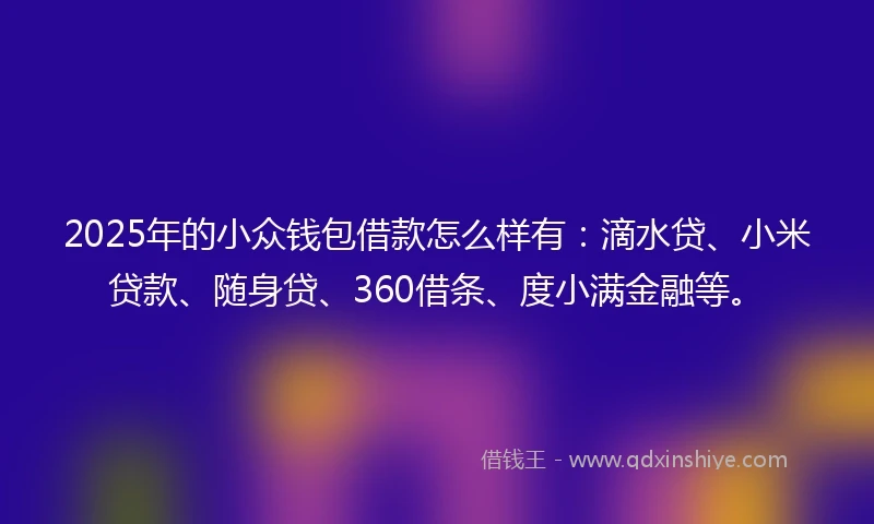 2025年的小众钱包借款怎么样有：滴水贷、小米贷款、随身贷、360借条、度小满金融等。