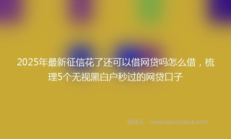2025年最新征信花了还可以借网贷吗怎么借，梳理5个无视黑白户秒过的网贷口子