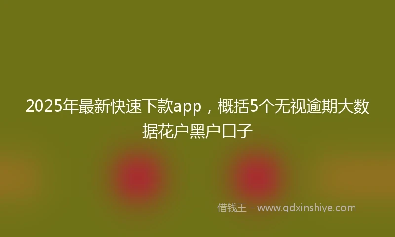 2025年最新快速下款app，概括5个无视逾期大数据花户黑户口子