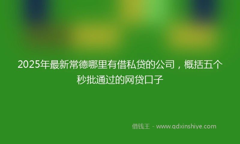 2025年最新常德哪里有借私贷的公司，概括五个秒批通过的网贷口子