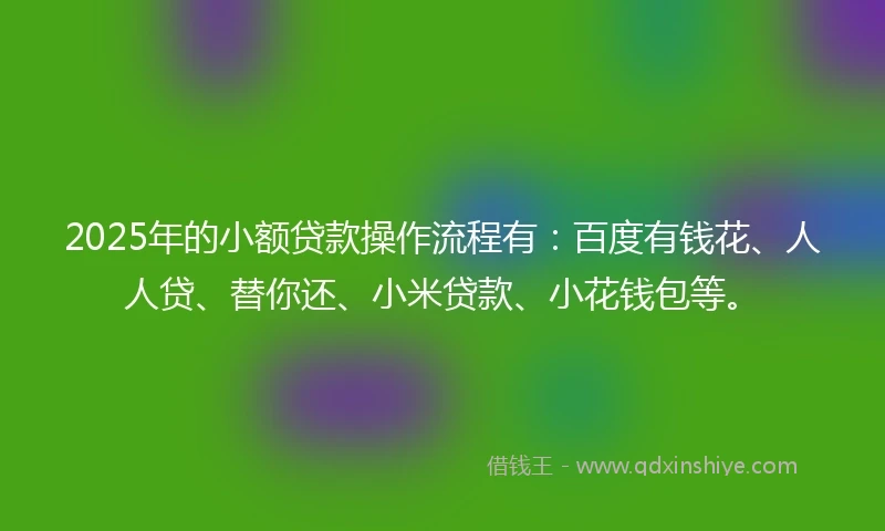 2025年的小额贷款操作流程有：百度有钱花、人人贷、替你还、小米贷款、小花钱包等。