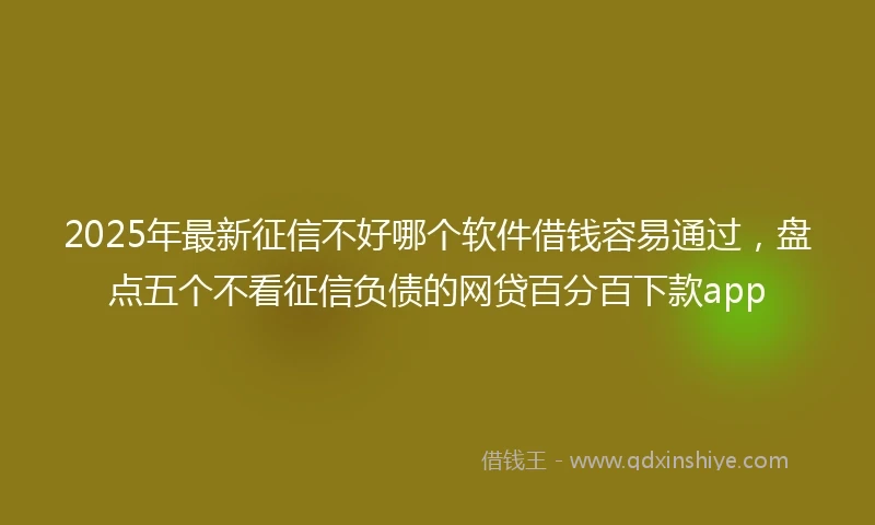 2025年最新征信不好哪个软件借钱容易通过，盘点五个不看征信负债的网贷百分百下款app