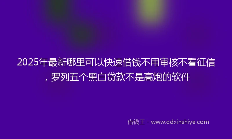 2025年最新哪里可以快速借钱不用审核不看征信，罗列五个黑白贷款不是高炮的软件