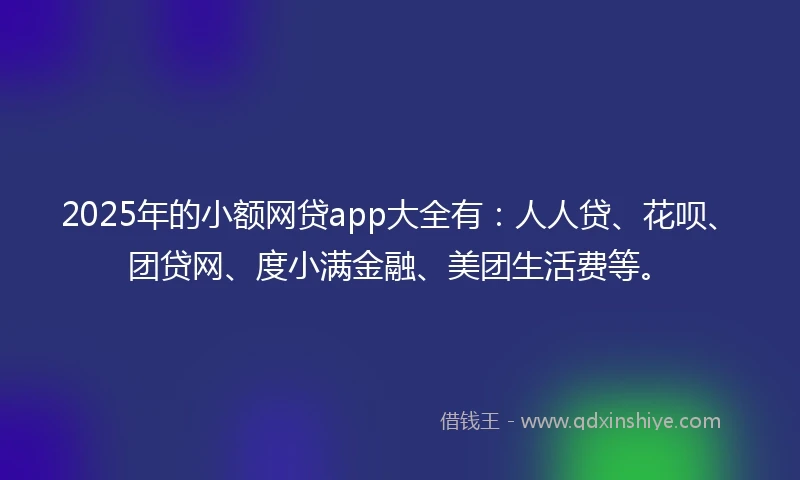 2025年的小额网贷app大全有：人人贷、花呗、团贷网、度小满金融、美团生活费等。