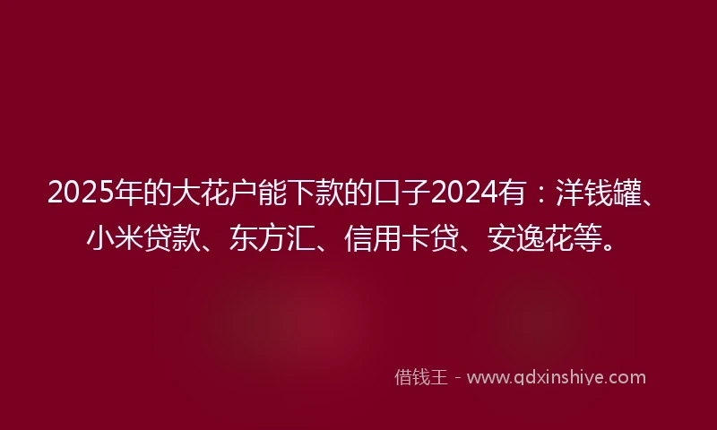 2025年的大花户能下款的口子2024有：洋钱罐、小米贷款、东方汇、信用卡贷、安逸花等。
