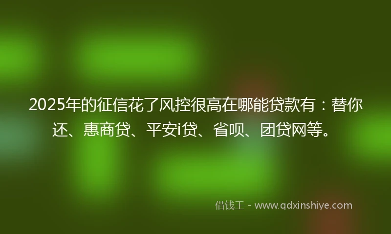 2025年的征信花了风控很高在哪能贷款有：替你还、惠商贷、平安i贷、省呗、团贷网等。