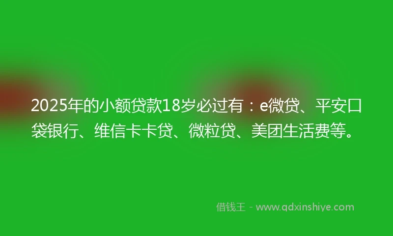 2025年的小额贷款18岁必过有：e微贷、平安口袋银行、维信卡卡贷、微粒贷、美团生活费等。