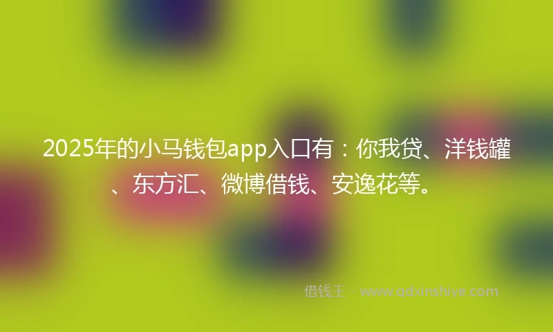 2025年的小马钱包app入口有：你我贷、洋钱罐、东方汇、微博借钱、安逸花等。
