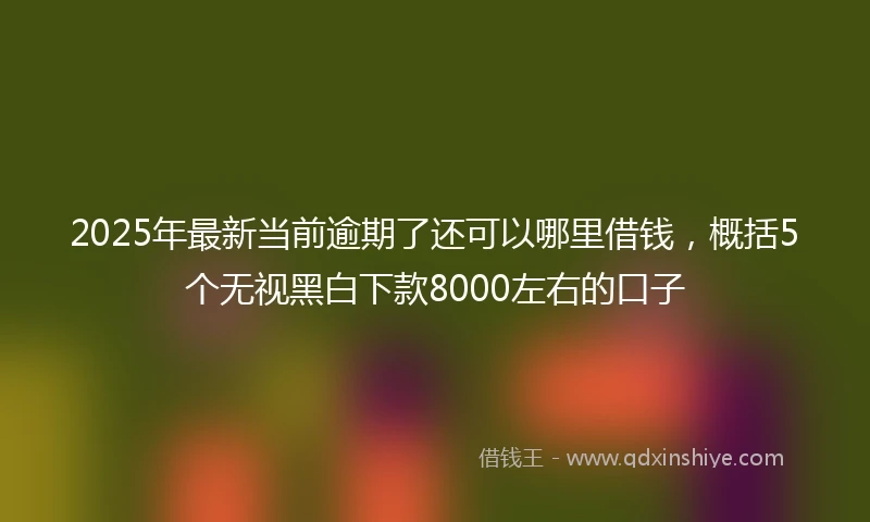 2025年最新当前逾期了还可以哪里借钱，概括5个无视黑白下款8000左右的口子