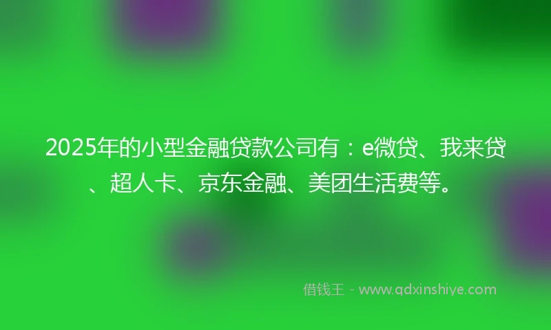 2025年的小型金融贷款公司有：e微贷、我来贷、超人卡、京东金融、美团生活费等。
