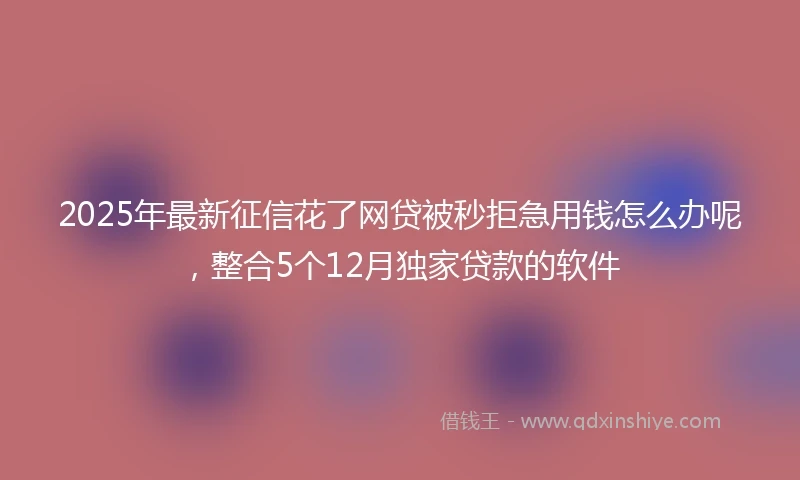 2025年最新征信花了网贷被秒拒急用钱怎么办呢，整合5个12月独家贷款的软件