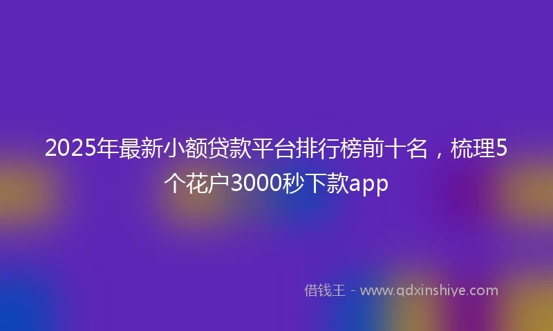 2025年最新小额贷款平台排行榜前十名，梳理5个花户3000秒下款app