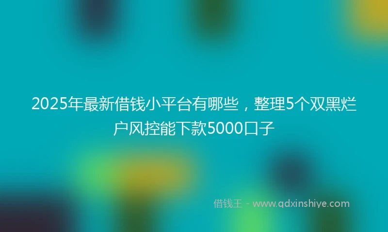 2025年最新借钱小平台有哪些，整理5个双黑烂户风控能下款5000口子