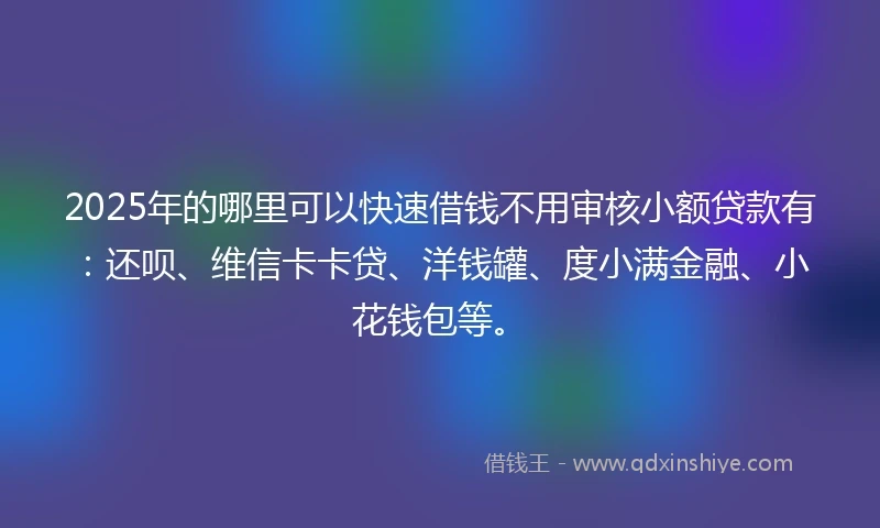 2025年的哪里可以快速借钱不用审核小额贷款有：还呗、维信卡卡贷、洋钱罐、度小满金融、小花钱包等。