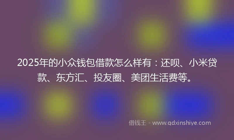 2025年的小众钱包借款怎么样有：还呗、小米贷款、东方汇、投友圈、美团生活费等。