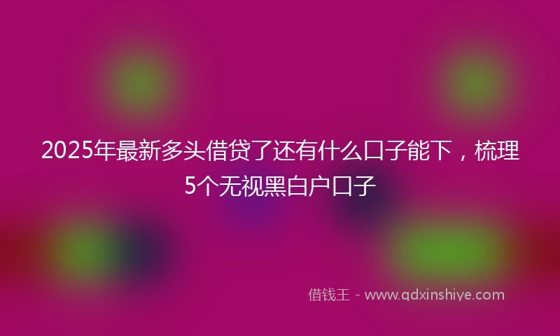 2025年最新多头借贷了还有什么口子能下，梳理5个无视黑白户口子