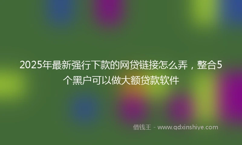 2025年最新强行下款的网贷链接怎么弄，整合5个黑户可以做大额贷款软件