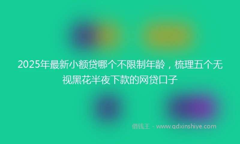 2025年最新小额贷哪个不限制年龄，梳理五个无视黑花半夜下款的网贷口子