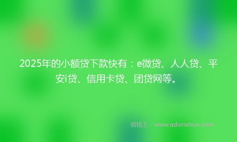 2025年的小额贷下款快有：e微贷、人人贷、平安i贷、信用卡贷、团贷网等。