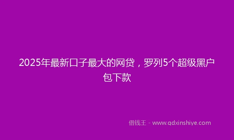 2025年最新口子最大的网贷，罗列5个超级黑户包下款