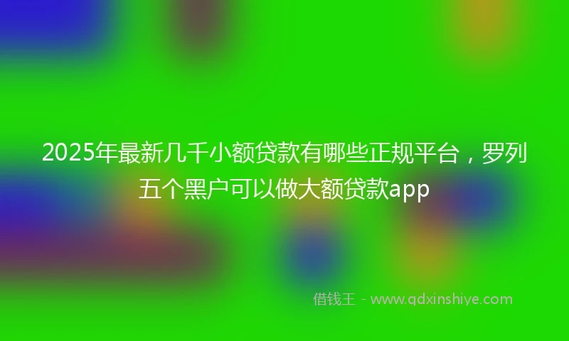 2025年最新几千小额贷款有哪些正规平台，罗列五个黑户可以做大额贷款app