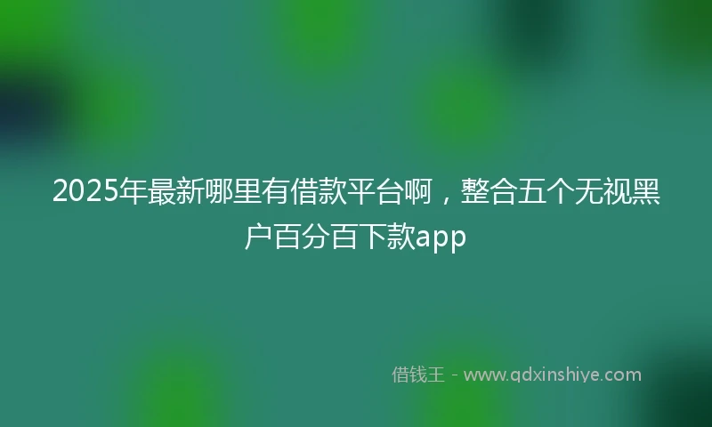 2025年最新哪里有借款平台啊，整合五个无视黑户百分百下款app