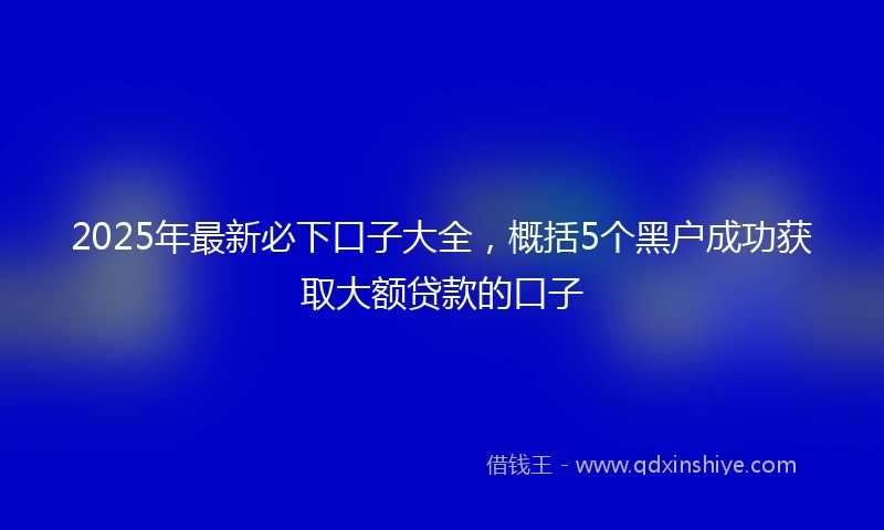 2025年最新必下口子大全，概括5个黑户成功获取大额贷款的口子