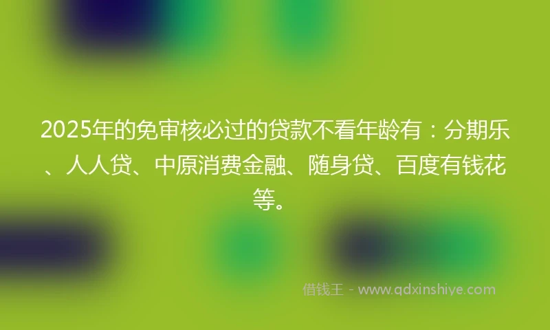 2025年的免审核必过的贷款不看年龄有：分期乐、人人贷、中原消费金融、随身贷、百度有钱花等。