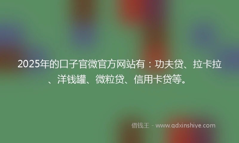 2025年的口子官微官方网站有：功夫贷、拉卡拉、洋钱罐、微粒贷、信用卡贷等。