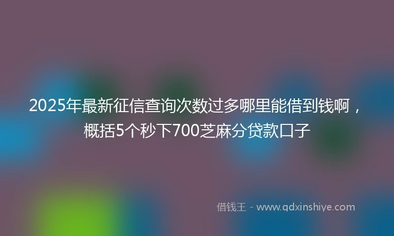 2025年最新征信查询次数过多哪里能借到钱啊，概括5个秒下700芝麻分贷款口子