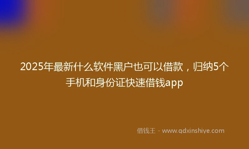 2025年最新什么软件黑户也可以借款，归纳5个手机和身份证快速借钱app