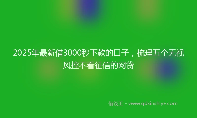 2025年最新借3000秒下款的口子，梳理五个无视风控不看征信的网贷
