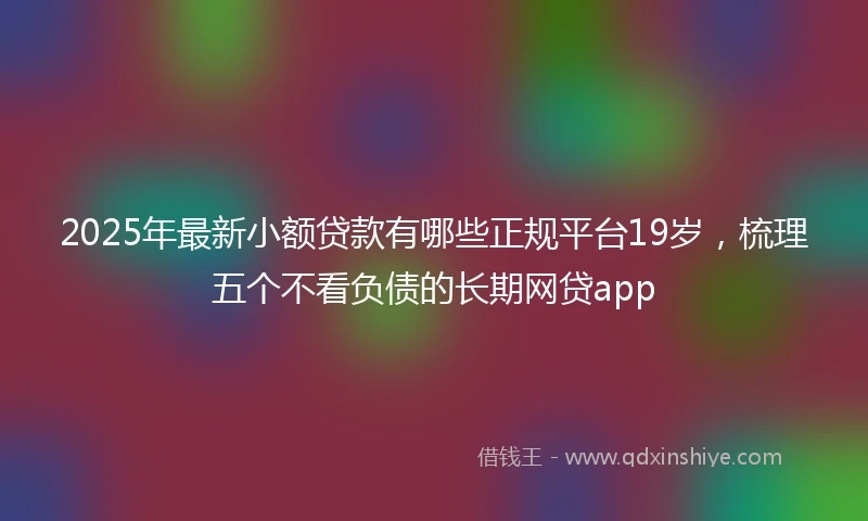 2025年最新小额贷款有哪些正规平台19岁，梳理五个不看负债的长期网贷app