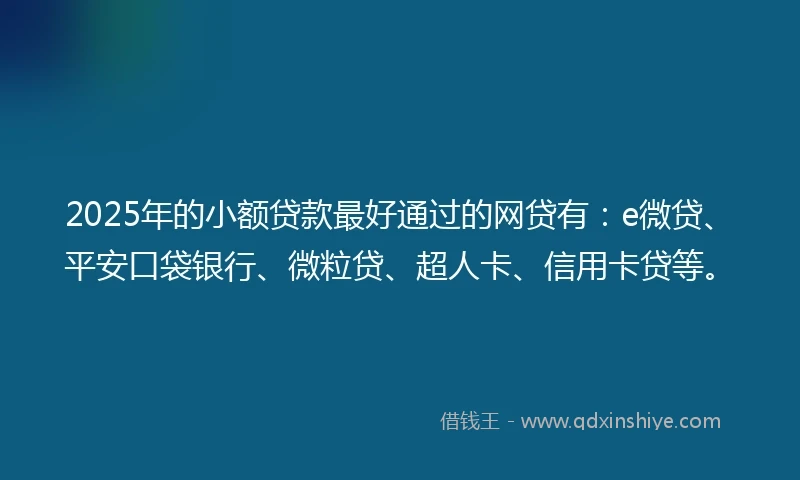 2025年的小额贷款最好通过的网贷有：e微贷、平安口袋银行、微粒贷、超人卡、信用卡贷等。