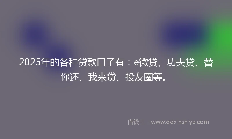 2025年的各种贷款口子有：e微贷、功夫贷、替你还、我来贷、投友圈等。