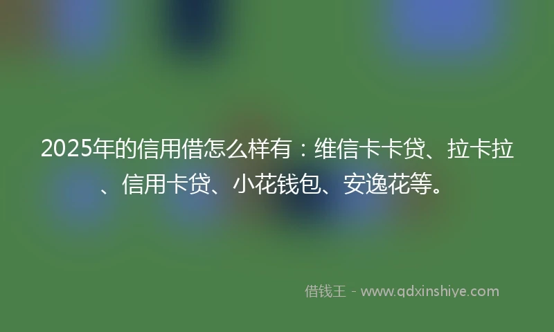 2025年的信用借怎么样有：维信卡卡贷、拉卡拉、信用卡贷、小花钱包、安逸花等。