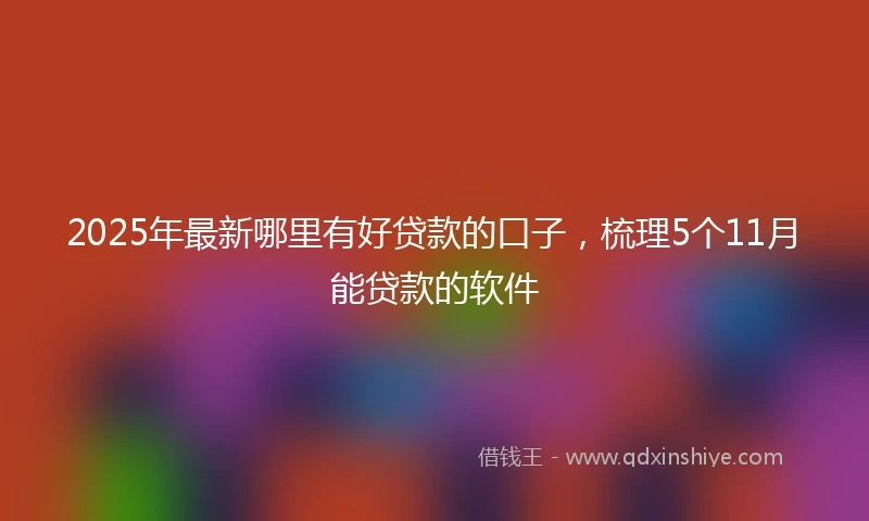 2025年最新哪里有好贷款的口子，梳理5个11月能贷款的软件