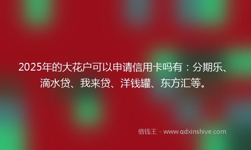 2025年的大花户可以申请信用卡吗有：分期乐、滴水贷、我来贷、洋钱罐、东方汇等。
