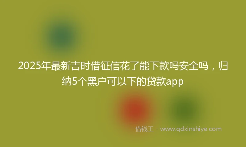 2025年最新吉时借征信花了能下款吗安全吗，归纳5个黑户可以下的贷款app