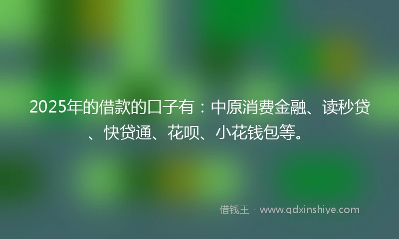 2025年的借款的口子有：中原消费金融、读秒贷、快贷通、花呗、小花钱包等。