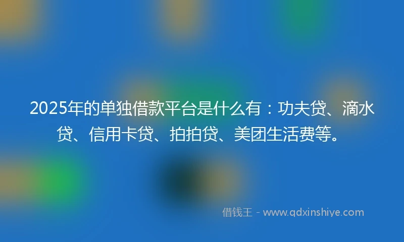 2025年的单独借款平台是什么有：功夫贷、滴水贷、信用卡贷、拍拍贷、美团生活费等。