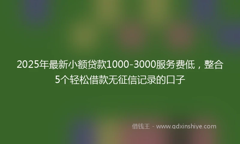 2025年最新小额贷款1000-3000服务费低，整合5个轻松借款无征信记录的口子