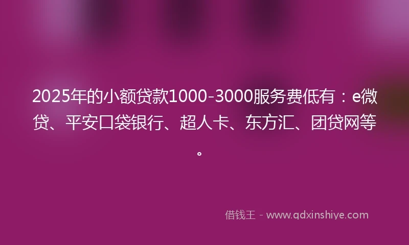 2025年的小额贷款1000-3000服务费低有：e微贷、平安口袋银行、超人卡、东方汇、团贷网等。